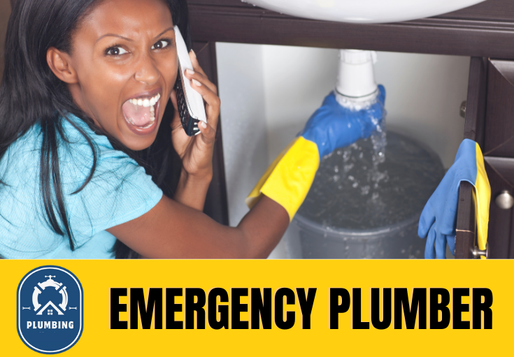emergency plumber Greenhithe